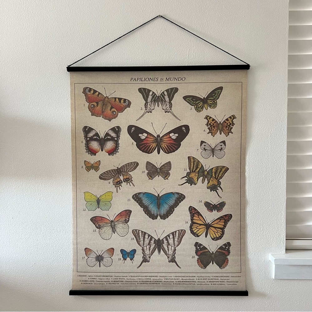 EBX Butterflies in the World Wall Hanging - Picture 2 of 2